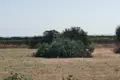 Land  Paphos Municipality, Cyprus