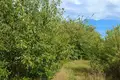 Земельные участки 1 458 м² Bytkowo, Польша