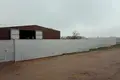 Magazyn 1 426 m² Dziamidavicki sielski Saviet, Białoruś