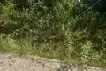 Land 9 999 m² Municipality of Topusko, Croatia