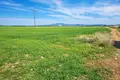 Parcelas 20 000 m² Nea Triglia, Grecia