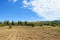 Parcelas 6 000 m² Kassandrino, Grecia