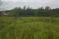 Działki  Scomyslicki sielski Saviet, Białoruś