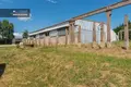 Gewerbefläche 2 465 m² in Gojus, Litauen
