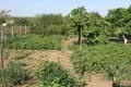 Dom 3 pokoi 80 m² Ivanove, Ukraina