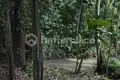 1 bedroom Villa  Tumbak Bayuh, Indonesia