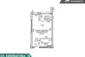 Wohnung 1 zimmer 28 m² Minsk, Belarus