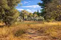 Parcelas 15 000 m² Nikiti, Grecia