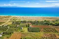 Parcelas 5 800 m² Agios Mamas, Grecia
