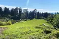 Atterrir 8 556 m² Tsikhisdziri, Géorgie