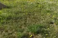 Land  Uzdzienski sielski Saviet, Belarus