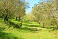 Земельные участки 1 комната  Ватос, Греция