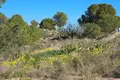 2 bedroom apartment 71 m² San Miguel de Salinas, Spain
