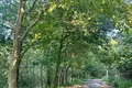 Działki  Shekvetili, Gruzja