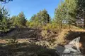 Land  Zabinkauski sielski Saviet, Belarus