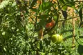 2 room house 67 m² Bashkia Vlore, Albania