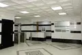 Office 4 248 m² in Moscow, Russia