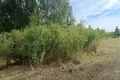 Parcelas 1 492 m² Bytkowo, Polonia
