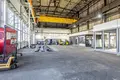 Tienda 2 030 m² en Rogozno, Polonia