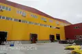 Producción 10 habitaciones 392 m² en Luhavaslabadski sielski Saviet, Belarús