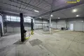 Nieruchomości komercyjne 222 m² w Mińsk, Białoruś