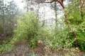 Land 1 room 542 m² Warsaw, Poland