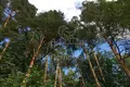 Działki  Odincovskij gorodskoj okrug, Rosja