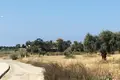 Atterrir  Mazotos, Chypre