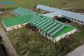 Nieruchomości komercyjne 3 340 m² Skujgie, Litwa
