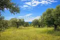 Parcelas 9 312 m² Agios Nikolaos, Grecia