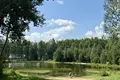 Дом  Негорельский сельский Совет, Беларусь