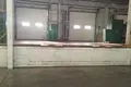 Warehouse 2 172 m² in Domodedovo, Russia