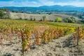 Commercial property 930 m² in Narni, Italy