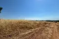 Land 14 000 m² Dionysiou, Greece