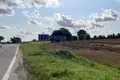 Działki  Niavielicy, Białoruś