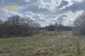 Parcelas  Dziamidavicki sielski Saviet, Belarús