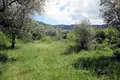 Land 1 room  Thassos Municipality, Greece