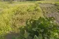 3 room house 50 m² Vawkavysk, Belarus
