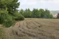 Land  in Macedonia - Thrace, Greece