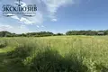 Grundstück  Pryliepy, Belarus