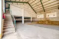 Almacén 1 439 m² en Novelda, Španjolska