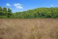 Land 4 500 m² Kassandrino, Greece