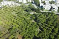 Atterrir 18 000 m² Turgutreis, Turquie