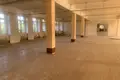 Propriété commerciale 3 410 m² à Lapicy, Bélarus