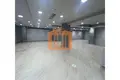Коммерческое помещение 195 м² Албания, Албания