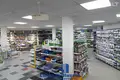 Propriété commerciale 248 m² à Minsk, Bélarus