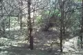 Działki  Damacauski sielski Saviet, Białoruś