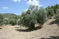Atterrir 1 chambre  Neos Marmaras, Grèce