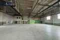 Коммерческое помещение 2 119 м² в Алитусе, Литва