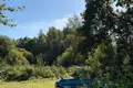 Дом 91 м² Нёвда, Беларусь
